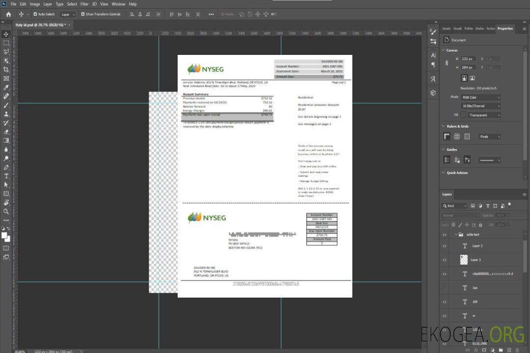 Facture commerciale du service public d'électricité de Boston NYSEG, SCR template
